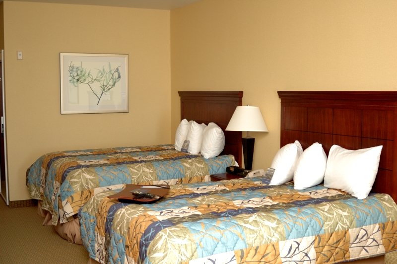 Hampton Inn