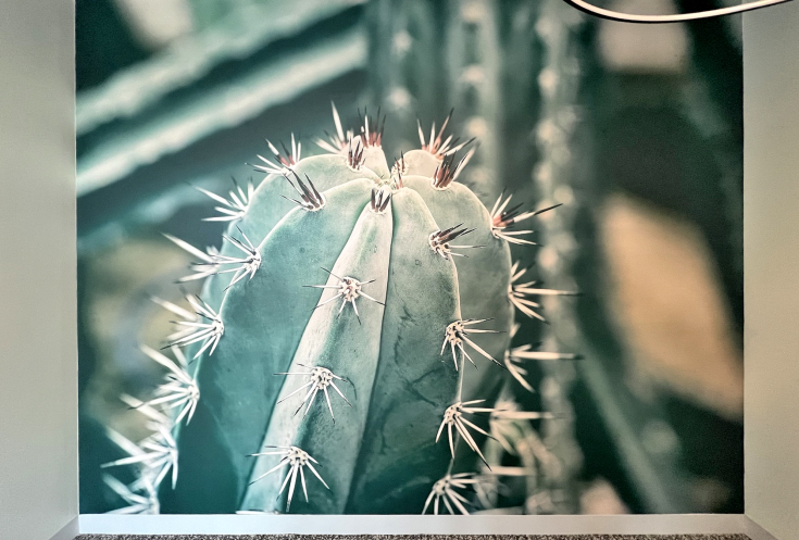 Digital Cactus