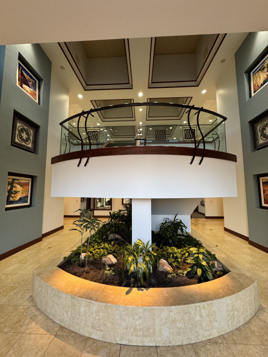 Mountain View Office